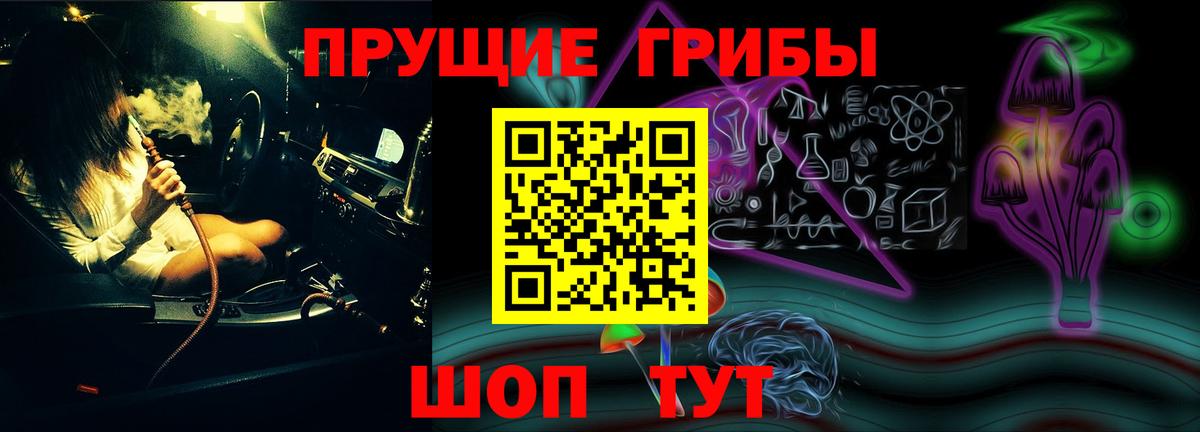 Галлюциногенные грибы Psilocybe  Вход с VPN  Черкесск  Галлюциногенные грибы мицелий 